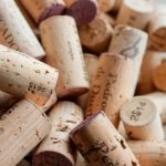 settore vitivinicolo Evolutio trasporti